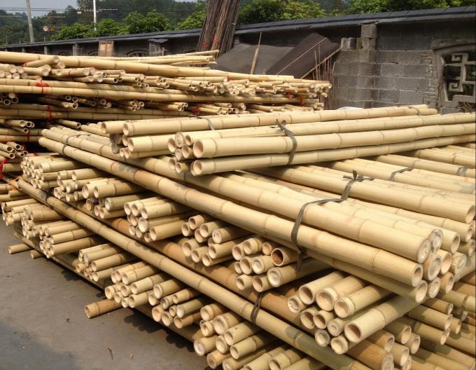 Wholesale Price Natural Moss Plant Pole Moss Stick For Climbing Plants Moss Poles Support 0