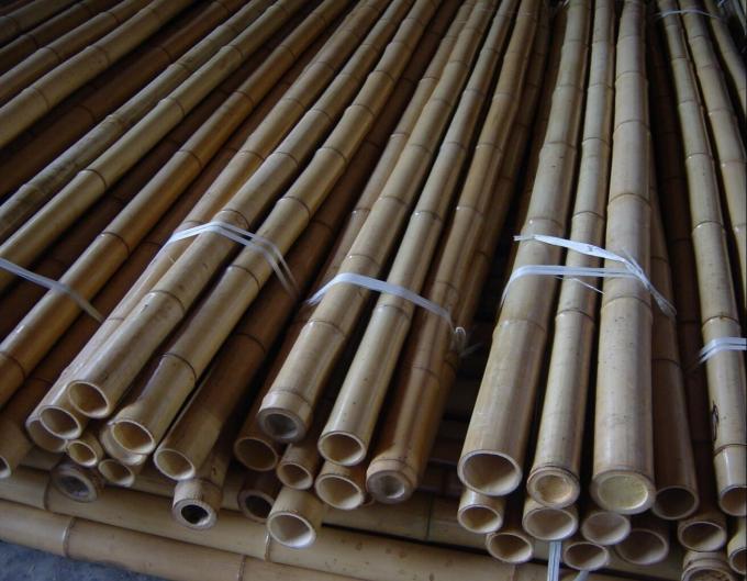 Wholesale Price Natural Moss Plant Pole Moss Stick For Climbing Plants Moss Poles Support 3