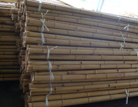 Wholesale Price Natural Moss Plant Pole Moss Stick For Climbing Plants Moss Poles Support 2